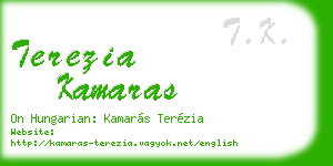 terezia kamaras business card